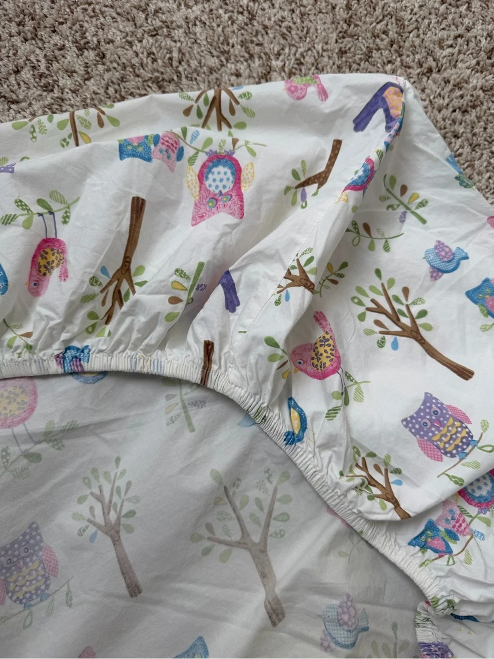 Pottery Barn Kids Hayley Collection Owl and Bird Tree twin Quilt & sheets Set